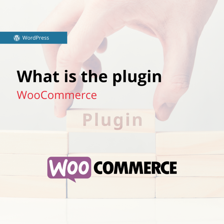 what is the plugin woocommerce